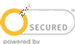 norton secure